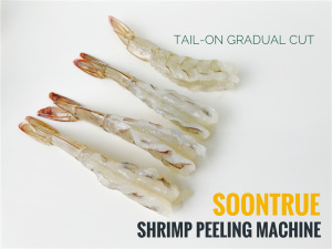 Automatic shrimp peeling machine