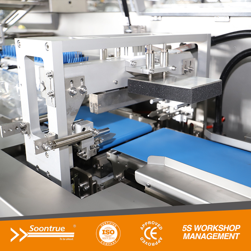 SW80E Box Motion Flow packaging Machine