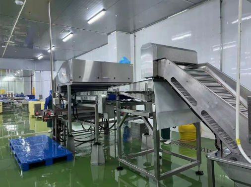 shrimp peeling and deveining machines